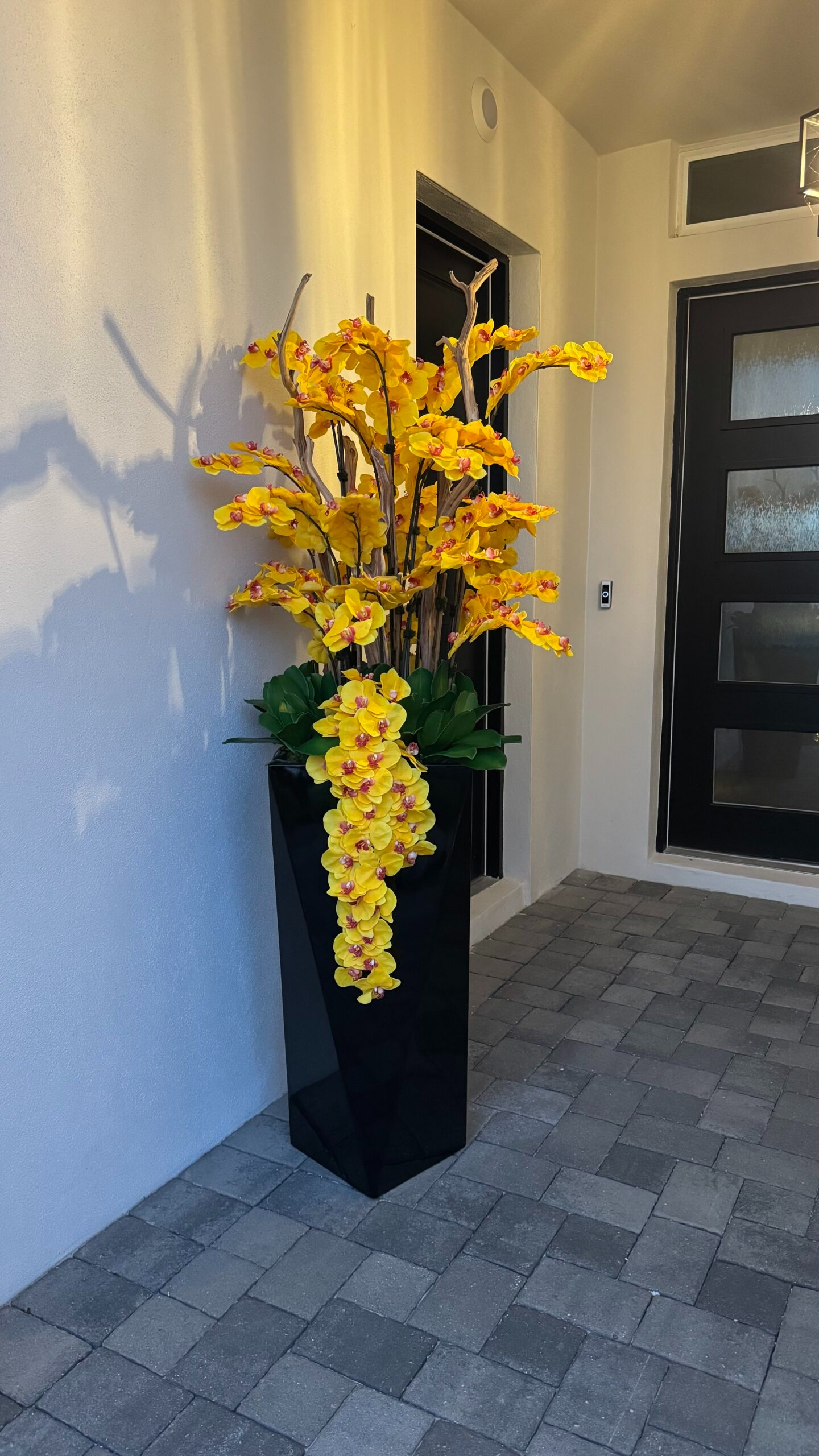 Kaskadierende gelbe Orchideen in einer schwarzen Vase