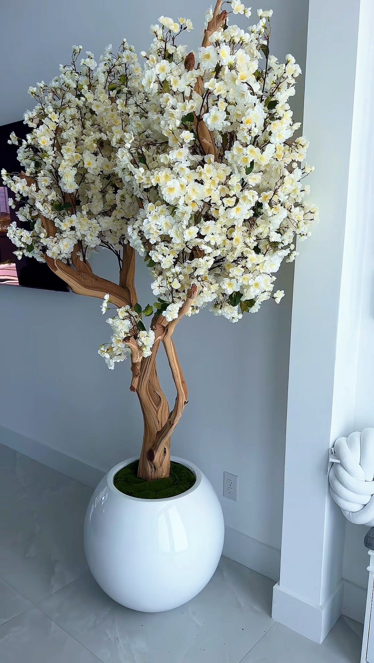 Weißer Kirschblütenbaum in einer weißen runden Vase